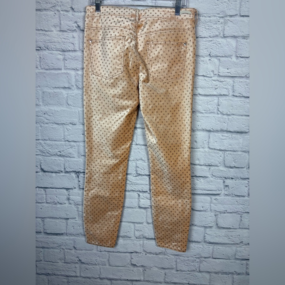 Anthropologie Pilcro Velvet Polka Dot High-Rise Skinny Ankle size 29 - Picture 7 of 8
